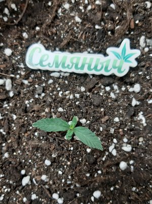 20230428_203727.jpg 20230428_203727.jpg