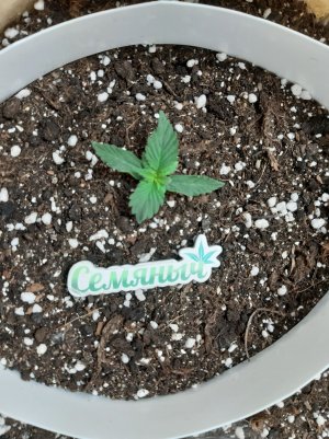 20230429_103734.jpg 20230429_103734.jpg