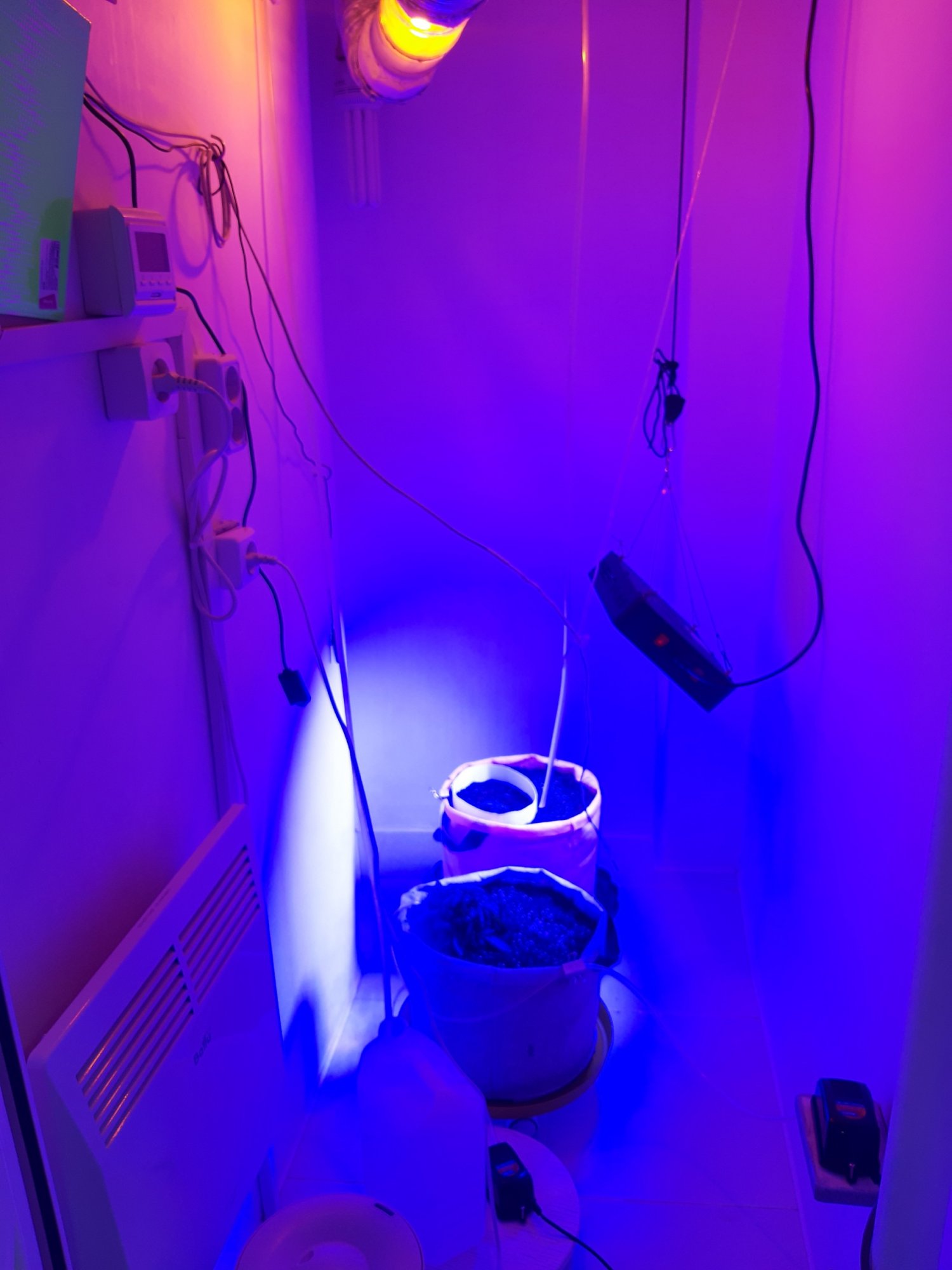 20230429_111225.jpg 20230429_111225.jpg