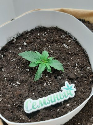 20230429_112929.jpg 20230429_112929.jpg