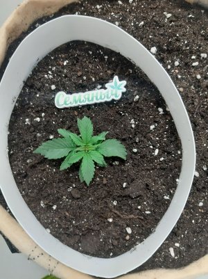 20230430_074542.jpg 20230430_074542.jpg