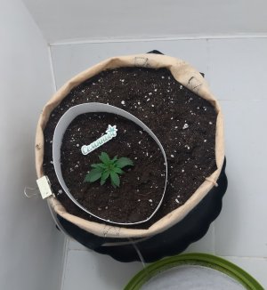 20230430_074527.jpg 20230430_074527.jpg