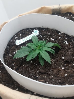 20230430_075046.jpg 20230430_075046.jpg