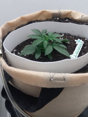 20230501_104547.jpg 20230501_104547.jpg