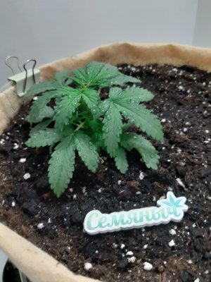 20230501_112220.jpg 20230501_112220.jpg