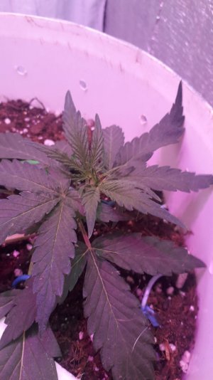 photo_2023-05-04_10-09-02 (2).jpg