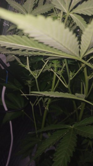 IMG_2023_05_10_01_43_29_7163442910485613205588.jpg IMG_2023_05_10_01_43_29_7163442910485613205588.jpg