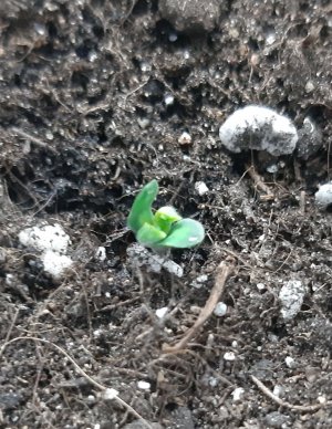 20230425_155734 1).jpg 20230425_155734 1).jpg