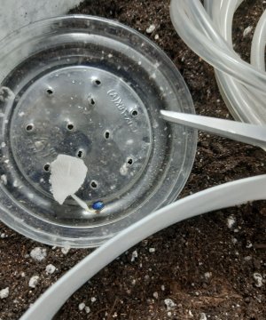 20230512_130245.jpg 20230512_130245.jpg