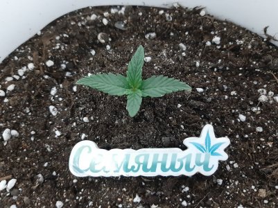 20230512_130200.jpg 20230512_130200.jpg