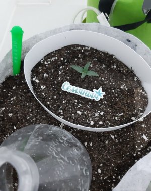 20230512_130410.jpg 20230512_130410.jpg