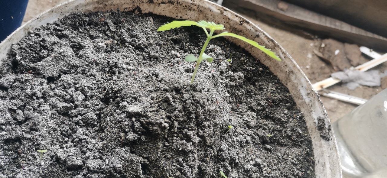 photo_5409184342497936423_y.jpg photo_5409184342497936423_y.jpg