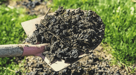 1684415276269.png 1684415276269.png