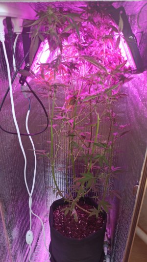 IMG_2023_05_19_18_38_39_3558770581046995491645.jpg IMG_2023_05_19_18_38_39_3558770581046995491645.jpg