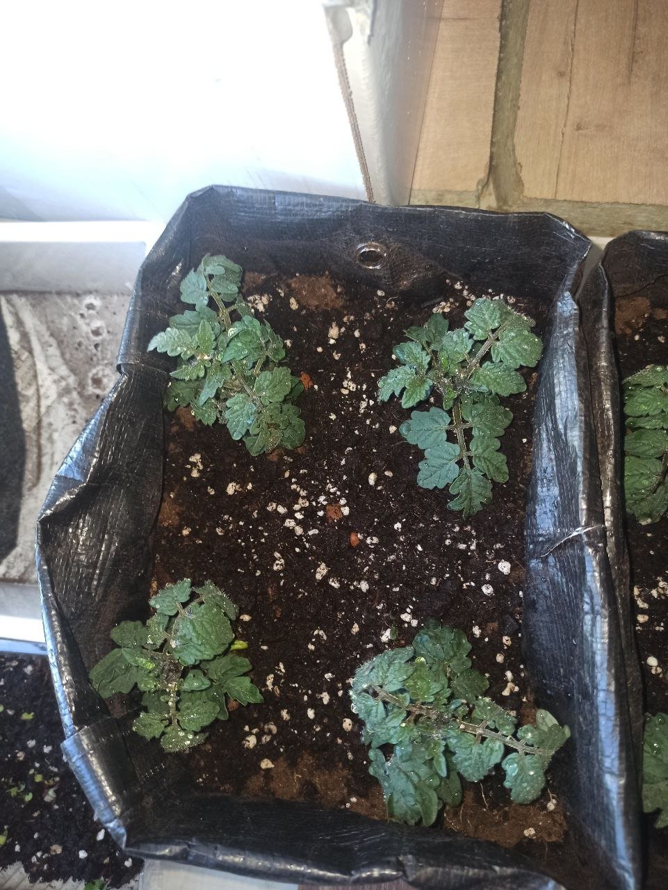 photo_2023-05-25_06-58-00.jpg photo_2023-05-25_06-58-00.jpg