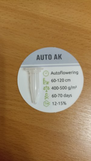 IMG_20230605_213422.jpg IMG_20230605_213422.jpg