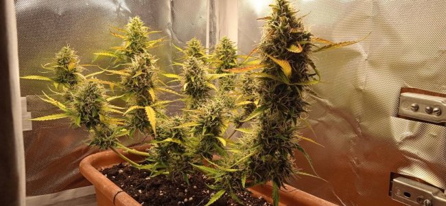 62дн_2мес (8).jpg