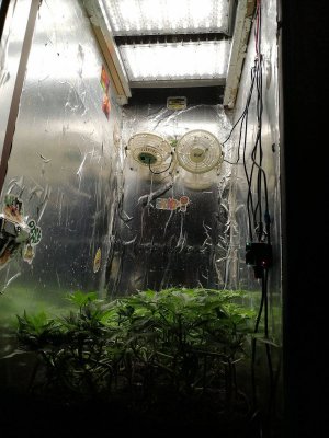 1686678837345.jpg 1686678837345.jpg