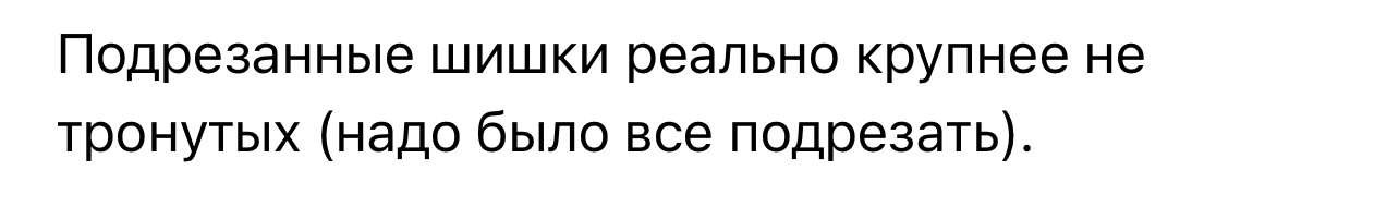 IMG_7056.jpeg IMG_7056.jpeg