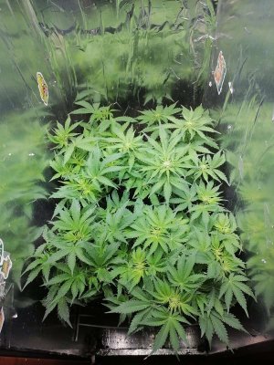 1686821869674.jpg 1686821869674.jpg