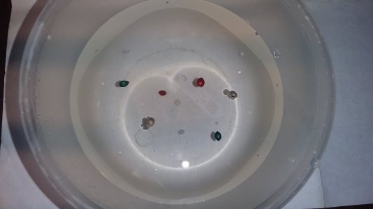 20230603_143351 .jpg