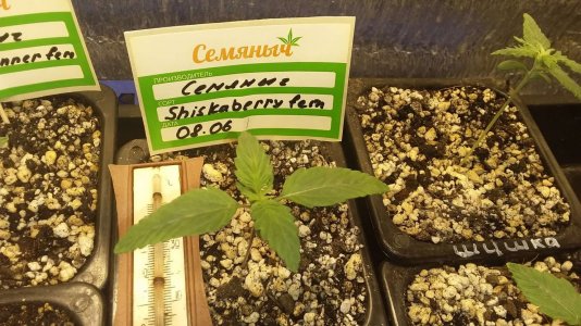 20230616_005425 .jpg