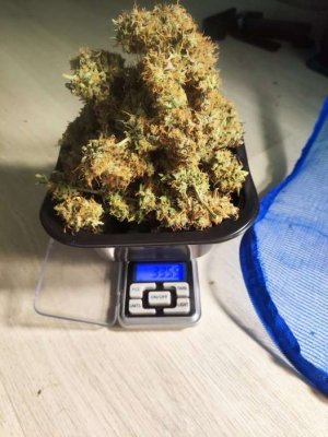 MVIMG_20230604_144546.jpg MVIMG_20230604_144546.jpg