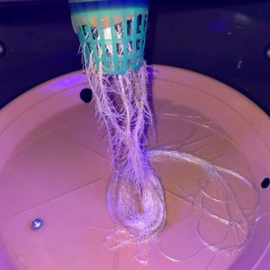 IMG_0719.jpg IMG_0719.jpg