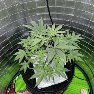 IMG_0753.jpg IMG_0753.jpg