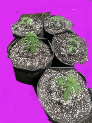 B9F007A4-F025-434A-BEFD-E75E1B1B550D.jpeg B9F007A4-F025-434A-BEFD-E75E1B1B550D.jpeg