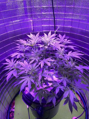 IMG_0828.JPG IMG_0828.JPG