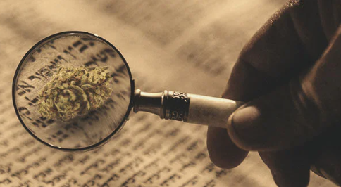 1688035381559.png 1688035381559.png