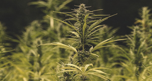 1688035442377.png 1688035442377.png