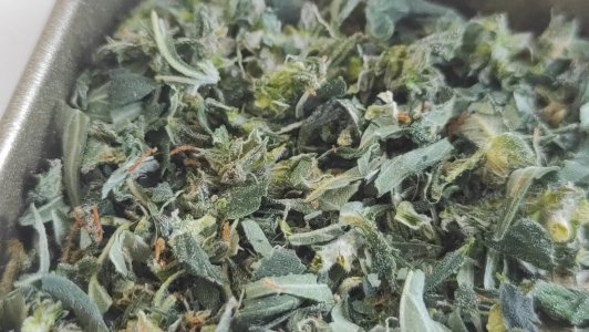 2023-06-29-17-28-41-882.jpg 2023-06-29-17-28-41-882.jpg