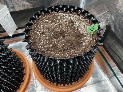 3EB9D676-E5EB-409F-AFC7-D31BF715F6C0.jpeg 3EB9D676-E5EB-409F-AFC7-D31BF715F6C0.jpeg