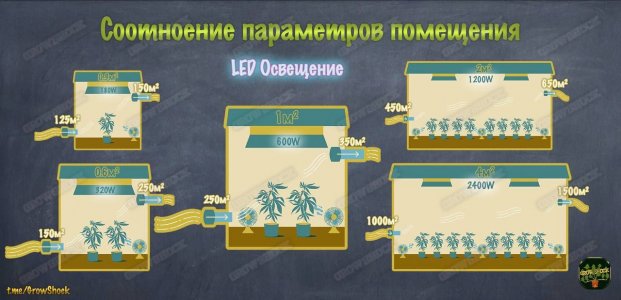 6aa93e52-7791-42e6-b221-d83f8717277f.jpeg 6aa93e52-7791-42e6-b221-d83f8717277f.jpeg