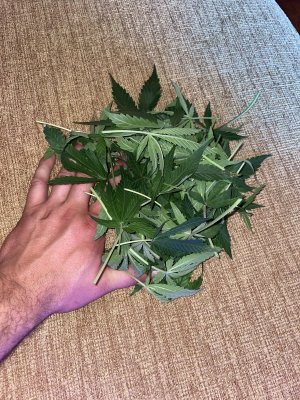 65D8FAD6-93DE-450E-A478-E72A2FADEA23.jpeg 65D8FAD6-93DE-450E-A478-E72A2FADEA23.jpeg