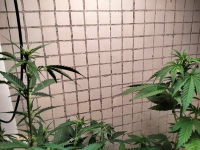 image-2023-07-03 22_39_41.jpg