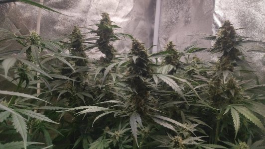 2023-07-10-23-50-46-999.jpg 2023-07-10-23-50-46-999.jpg