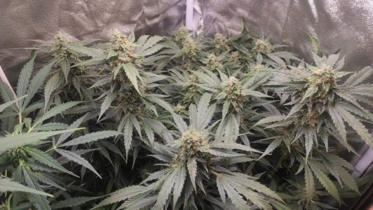 2023-07-10-23-51-05-437.jpg 2023-07-10-23-51-05-437.jpg