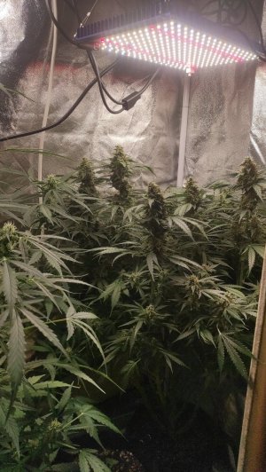 2023-07-10-23-50-57-551.jpg 2023-07-10-23-50-57-551.jpg