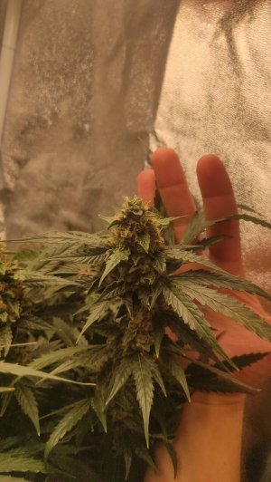 2023-07-11-00-02-13-791.jpg 2023-07-11-00-02-13-791.jpg