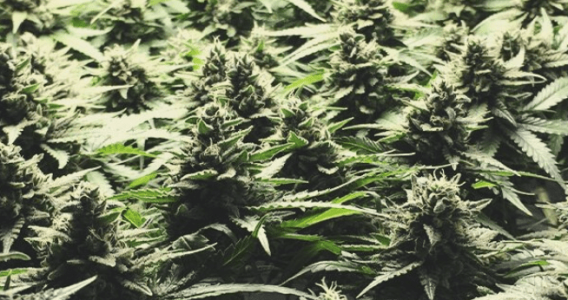 1639221427153.png 1639221427153.png