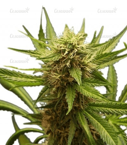 1639221476093.png 1639221476093.png