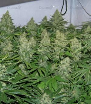 1639221658456.png 1639221658456.png