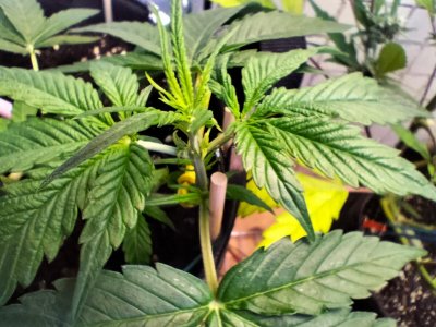 image-2023-07-25 10_31_41.jpg