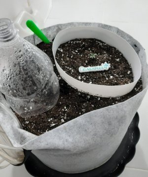 20230803_200607.jpg 20230803_200607.jpg