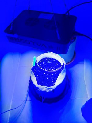 20230804_153051.jpg 20230804_153051.jpg