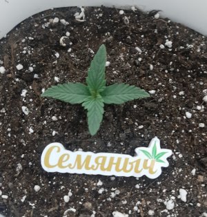 20230804_153037.jpg 20230804_153037.jpg