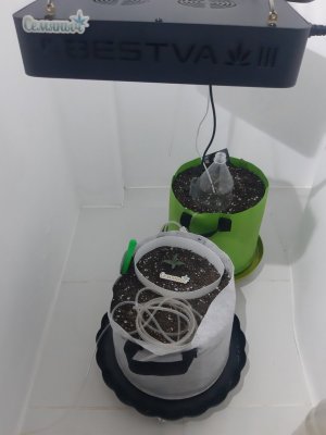 20230804_152950.jpg 20230804_152950.jpg